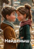 Книга Найденыш