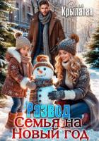 Книга Развод. Семья на Новый год