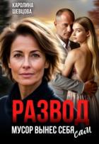 Книга Развод. Мусор вынес себя сам (СИ)