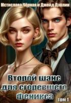 Книга Второй шанс для сгоревшего феникса (СИ)