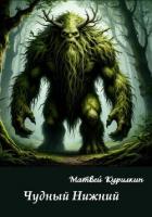Книга Чудный Нижний