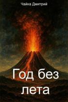 Книга Год без лета (СИ)