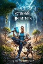 Книга Системный целитель 4 (СИ)