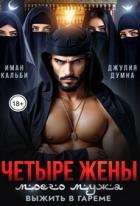 Книга Четыре жены моего мужа. Выжить в гареме (СИ)