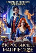 Книга Второе высшее магическое (СИ)