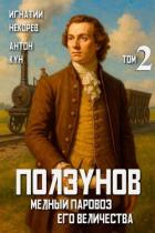 Книга Ползунов. Медный паровоз Его Величества. Том 2 (СИ)