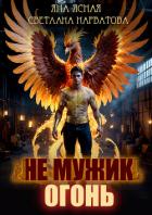 Книга Не мужик – огонь!