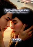 Книга Высший пилотаж