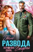 Книга После развода. Верни мне сына, генерал (СИ)