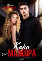 Книга Кара для мажора. Поспорить на любовь (СИ)