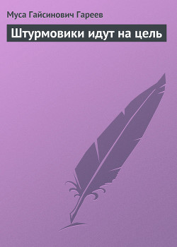 Книга Штурмовики идут на цель