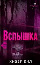 Книга Вспышка (ЛП)