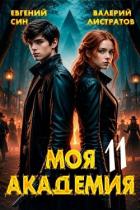 Книга Моя Академия 11 (СИ)