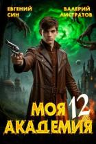 Книга Моя Академия 12 (СИ)