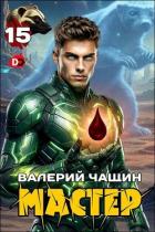 Книга Мастер 15 (СИ)