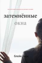 Книга Затемнённые окна