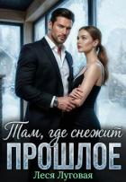 Книга Там, где снежит прошлое